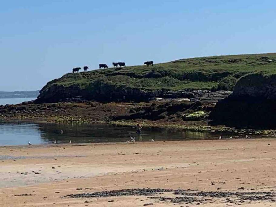 Bumblebee Cottage Donegal Town Bagian luar foto
