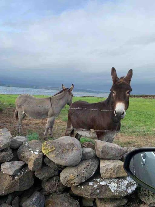 Bumblebee Cottage Donegal Town Bagian luar foto