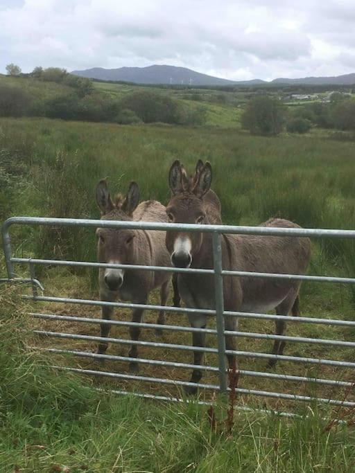 Bumblebee Cottage Donegal Town Bagian luar foto